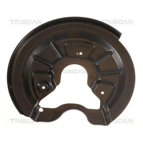 TRISCAN Spritzblech, Bremsscheibe 8125 29207