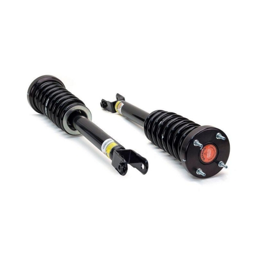 Arnott Fahrwerkssatz, Federn/D&auml;mpfer Original Arnott Produkt C-2745