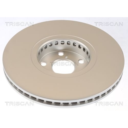 TRISCAN Bremsscheibe 8120 131028c