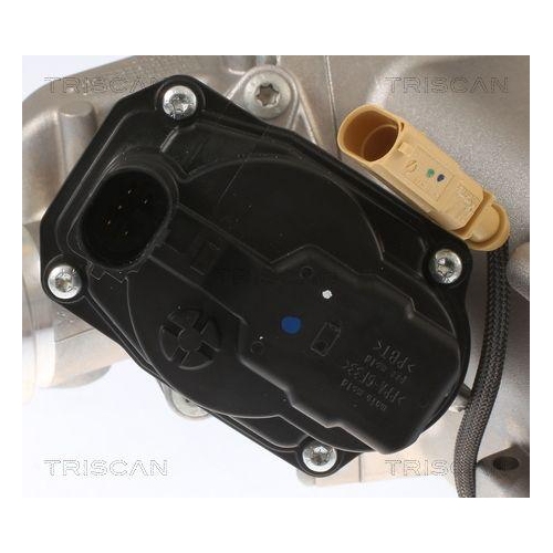 TRISCAN AGR-Ventil 8813 29013