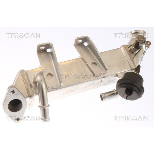 TRISCAN K&uuml;hler, Abgasr&uuml;ckf&uuml;hrung