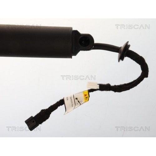 TRISCAN Gasfeder, Koffer-/Laderaum 8710 11371