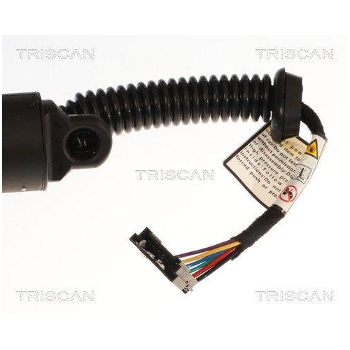 TRISCAN Gasfeder, Koffer-/Laderaum 8710 11372