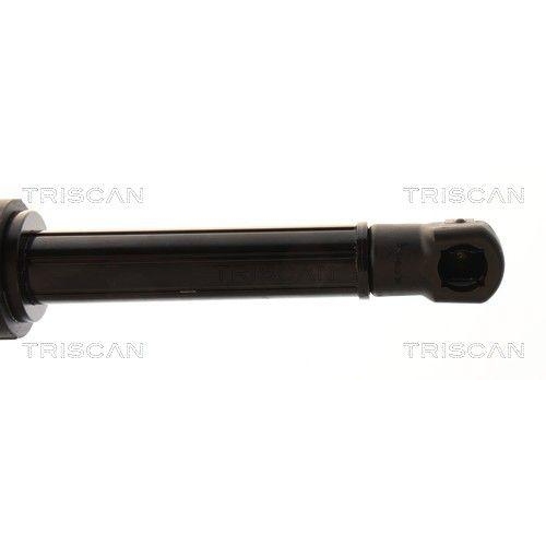 TRISCAN Gasfeder, Koffer-/Laderaum 8710 11378