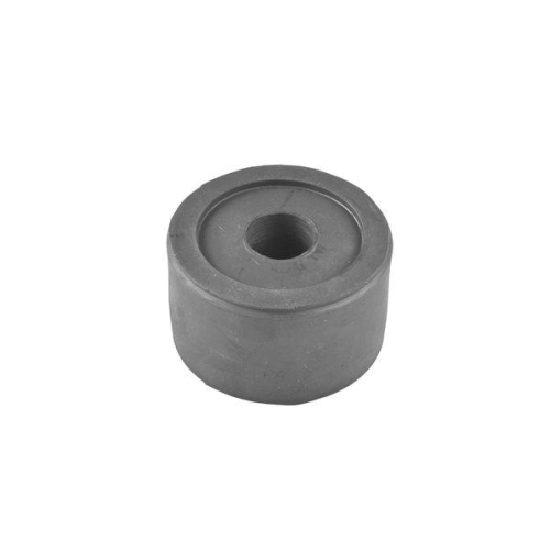 TEDGUM Lagerung, Motor 00725979