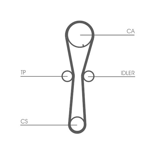 CONTINENTAL CTAM Zahnriemensatz CT954K1