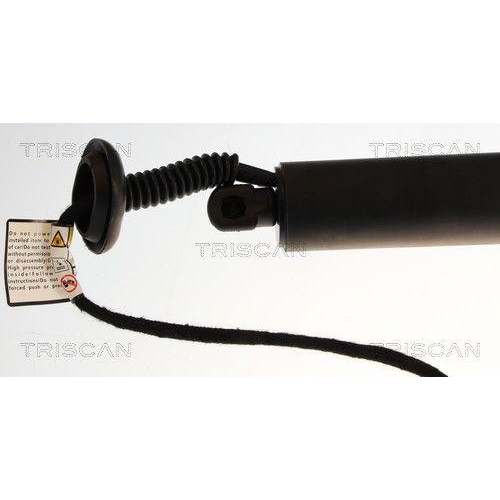 TRISCAN Gasfeder, Koffer-/Laderaum 8710 23319