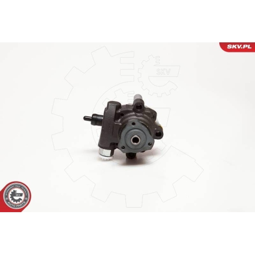 ESEN SKV Hydraulikpumpe, Lenkung