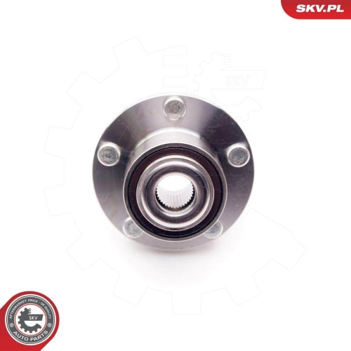 ESEN SKV Radlagersatz 29SKV128