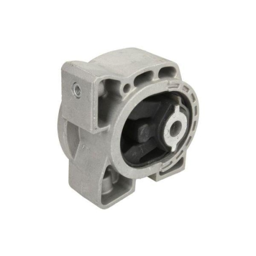REINHOCH Lagerung, Motor RH11-3046