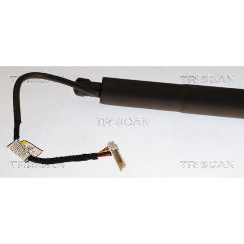 TRISCAN Gasfeder, Koffer-/Laderaum 8710 11376