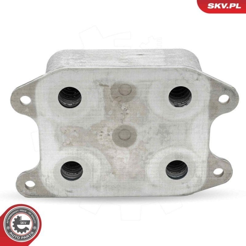ESEN SKV &Ouml;lk&uuml;hler, Motor&ouml;l 31SKV287