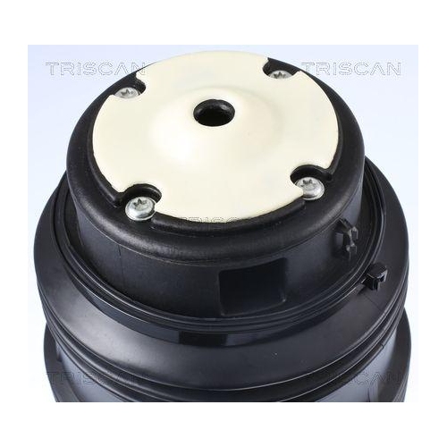 TRISCAN Luftfeder, Fahrwerk