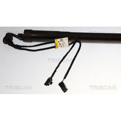 TRISCAN Gasfeder, Koffer-/Laderaum 8710 38302