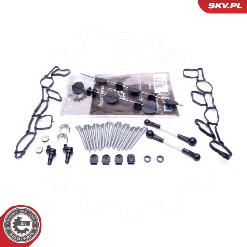 ESEN SKV Reparatursatz, Saugrohrmodul 49SKV501