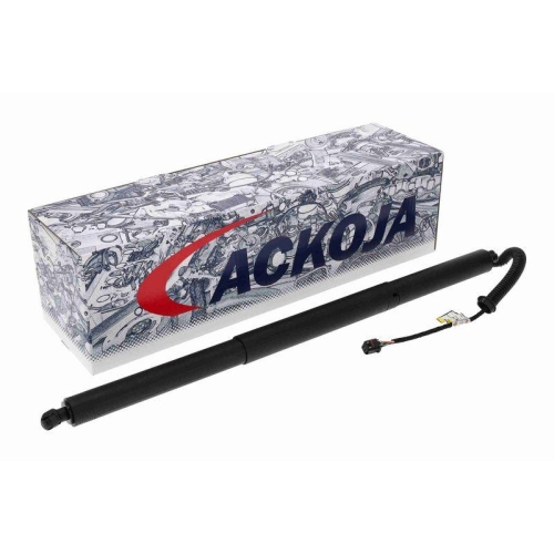 ACKOJA Elektromotor, Heckklappe Green Mobility Parts