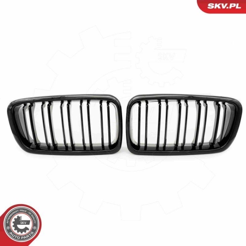 ESEN SKV Kühlergitter