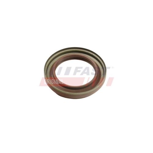 FAST Wellendichtring, Differential FT49863