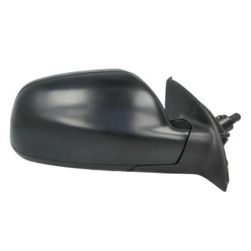 BLIC Au&szlig;enspiegel 5402-04-1138397P