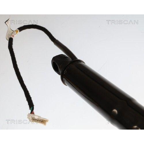 TRISCAN Gasfeder, Koffer-/Laderaum 8710 11381