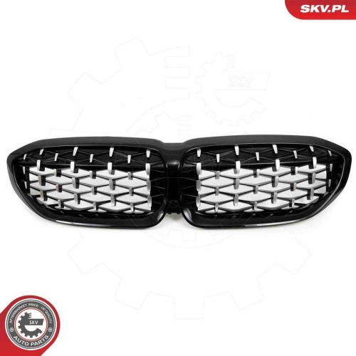 ESEN SKV Kühlergitter