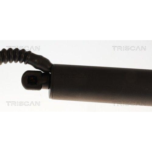 TRISCAN Gasfeder, Koffer-/Laderaum 8710 11382