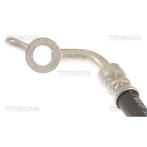 TRISCAN Bremsschlauch 8150 13317