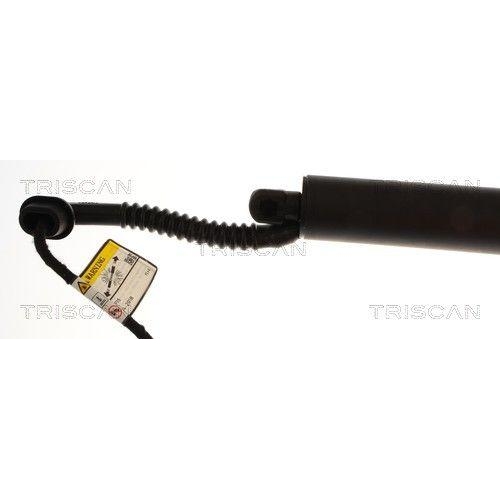 TRISCAN Gasfeder, Koffer-/Laderaum 8710 11383