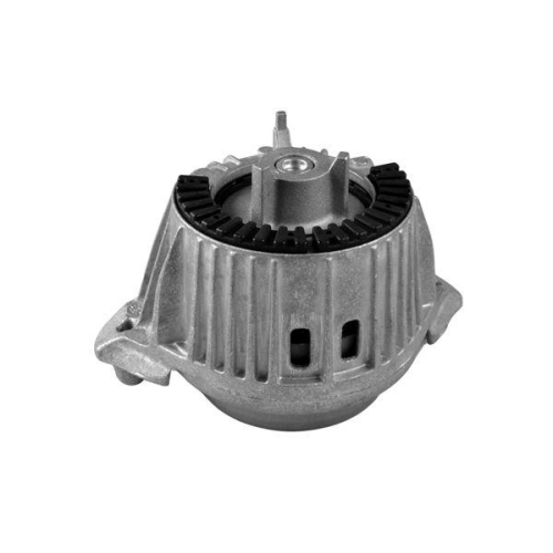 TEDGUM Lagerung, Motor TED53841