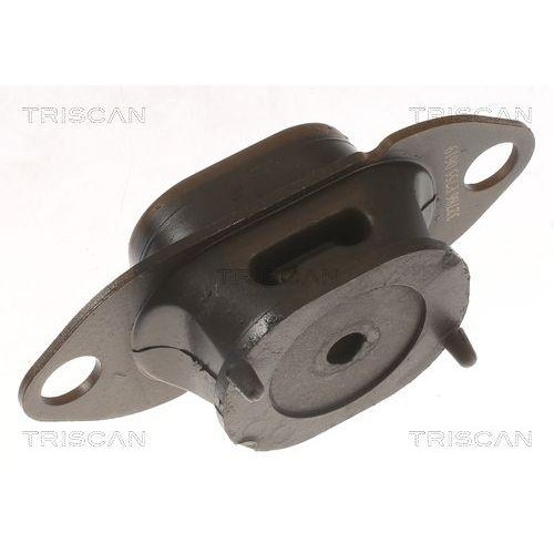 TRISCAN Lagerung, Motor 8505 10125