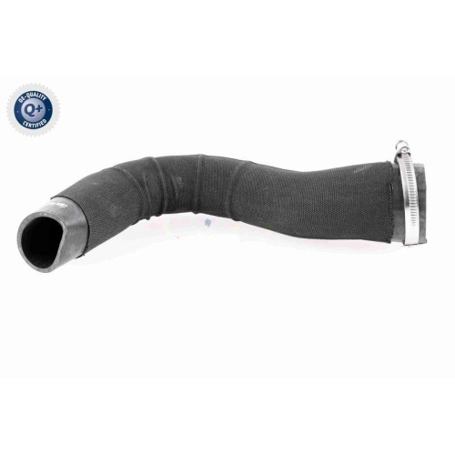VAICO Ladeluftschlauch Q+, Erstausr&uuml;sterqualit&auml;t V48-0182