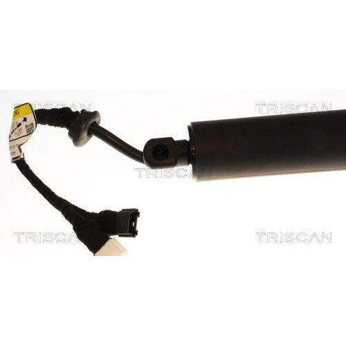 TRISCAN Gasfeder, Koffer-/Laderaum 8710 11385