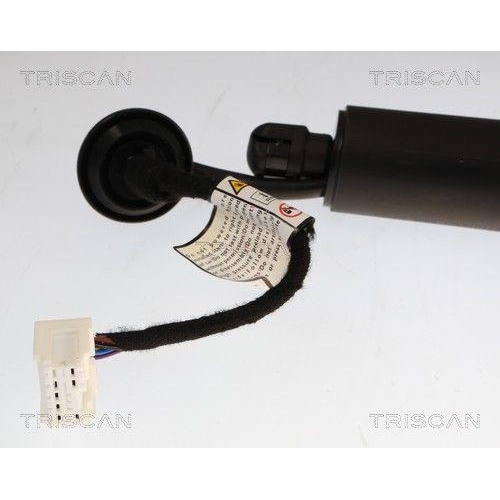 TRISCAN Gasfeder, Koffer-/Laderaum 8710 14301