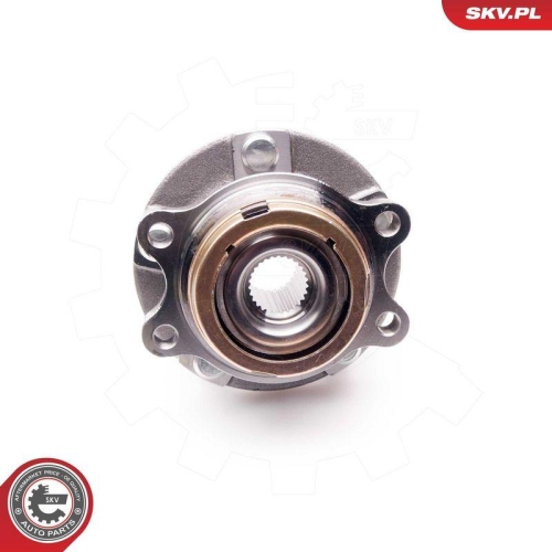 ESEN SKV Radlagersatz 29SKV134