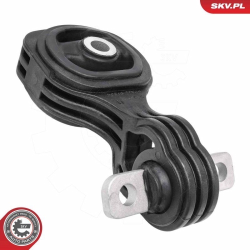 ESEN SKV Lagerung, Motor 75SKV314