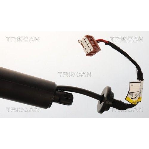 TRISCAN Gasfeder, Koffer-/Laderaum 8710 14302