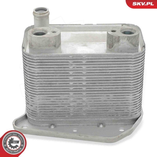 ESEN SKV &Ouml;lk&uuml;hler, Motor&ouml;l 31SKV297