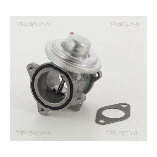 TRISCAN AGR-Ventil 8813 29011