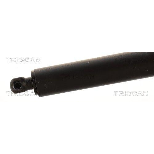 TRISCAN Gasfeder, Koffer-/Laderaum 8710 232101