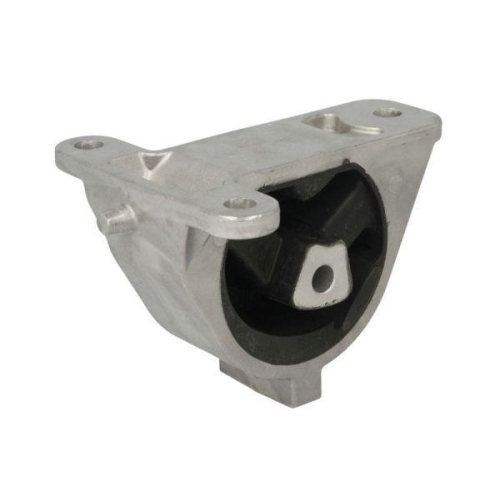 REINHOCH Lagerung, Motor RH11-6002