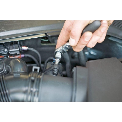 HAZET 5-Stern Bit 1/4 Zoll Sechskant massiv Innen 5-Stern SW 40H 2225-40H