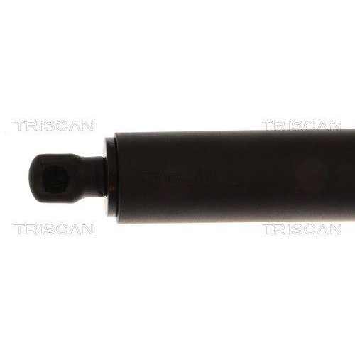 TRISCAN Gasfeder, Koffer-/Laderaum 8710 232104