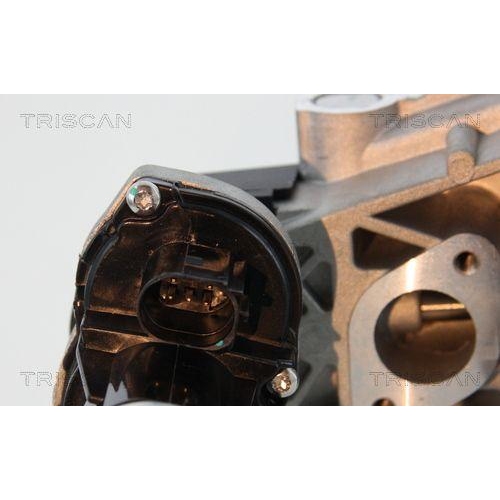 TRISCAN AGR-Ventil 8813 29330
