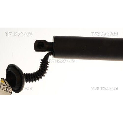 TRISCAN Gasfeder, Koffer-/Laderaum 8710 23315
