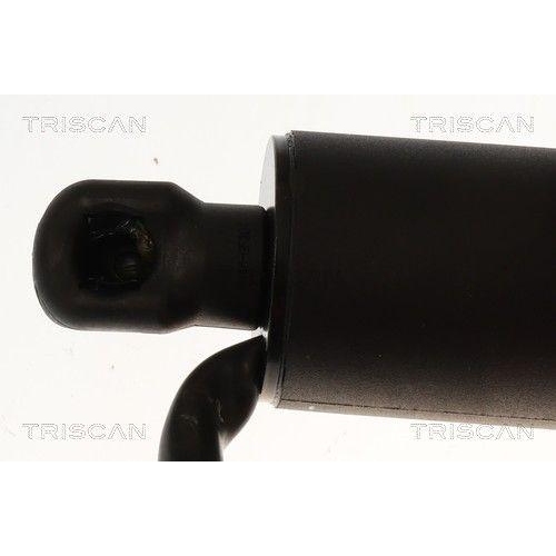 TRISCAN Gasfeder, Koffer-/Laderaum 8710 23317