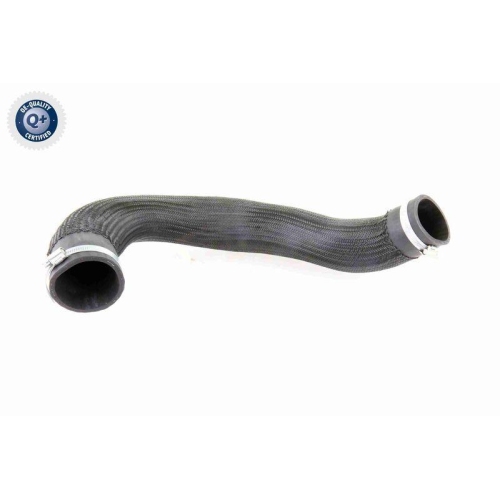 VAICO Ladeluftschlauch Q+, Erstausrüsterqualität V10-3834