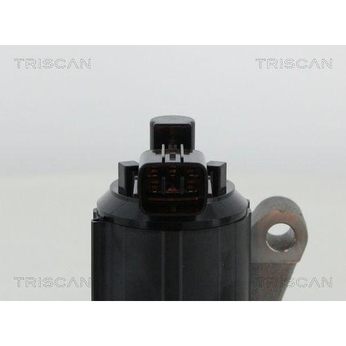 TRISCAN AGR-Ventil 8813 50015