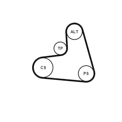 CONTINENTAL CTAM Keilrippenriemensatz 6PK1120K1
