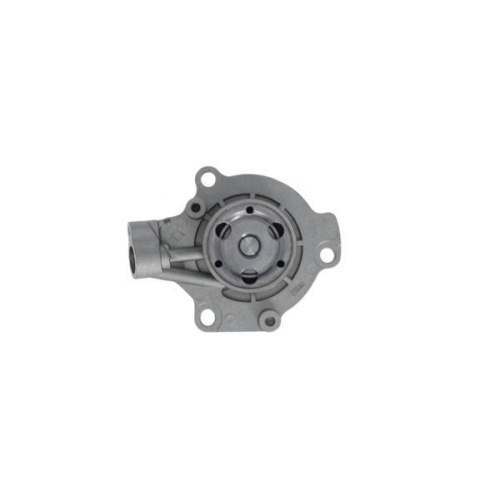 VALEO Wasserpumpe, Motorkühlung 529539