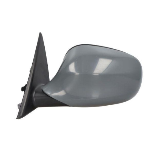 BLIC Außenspiegel 5402-05-2001047P